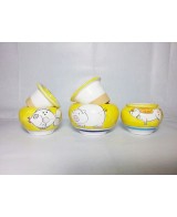 Pots for succulents