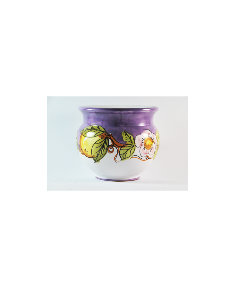 Plant holder
