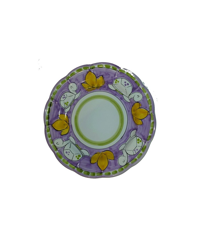 Plate turtle design